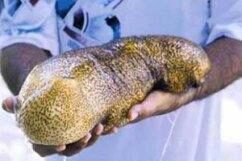 Obat Menghilangkan Nanah Dan Darah Pasca Operasi